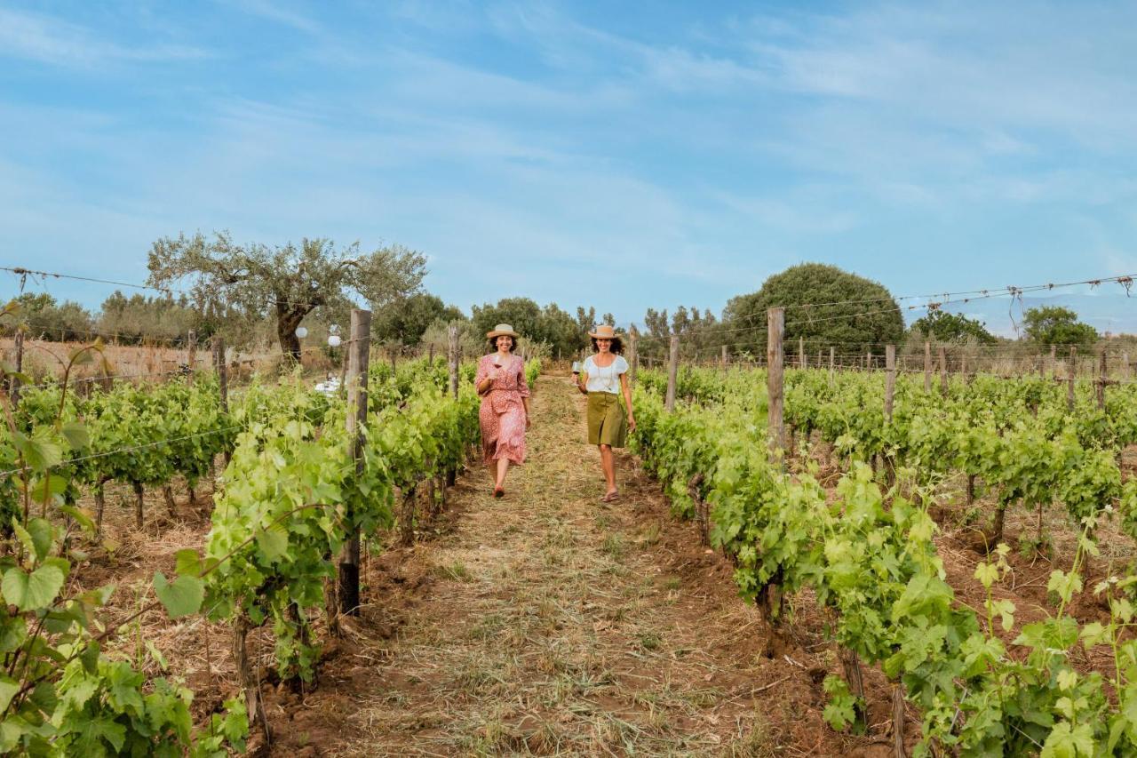 Baglio Occhipinti Farm stay Vittoria