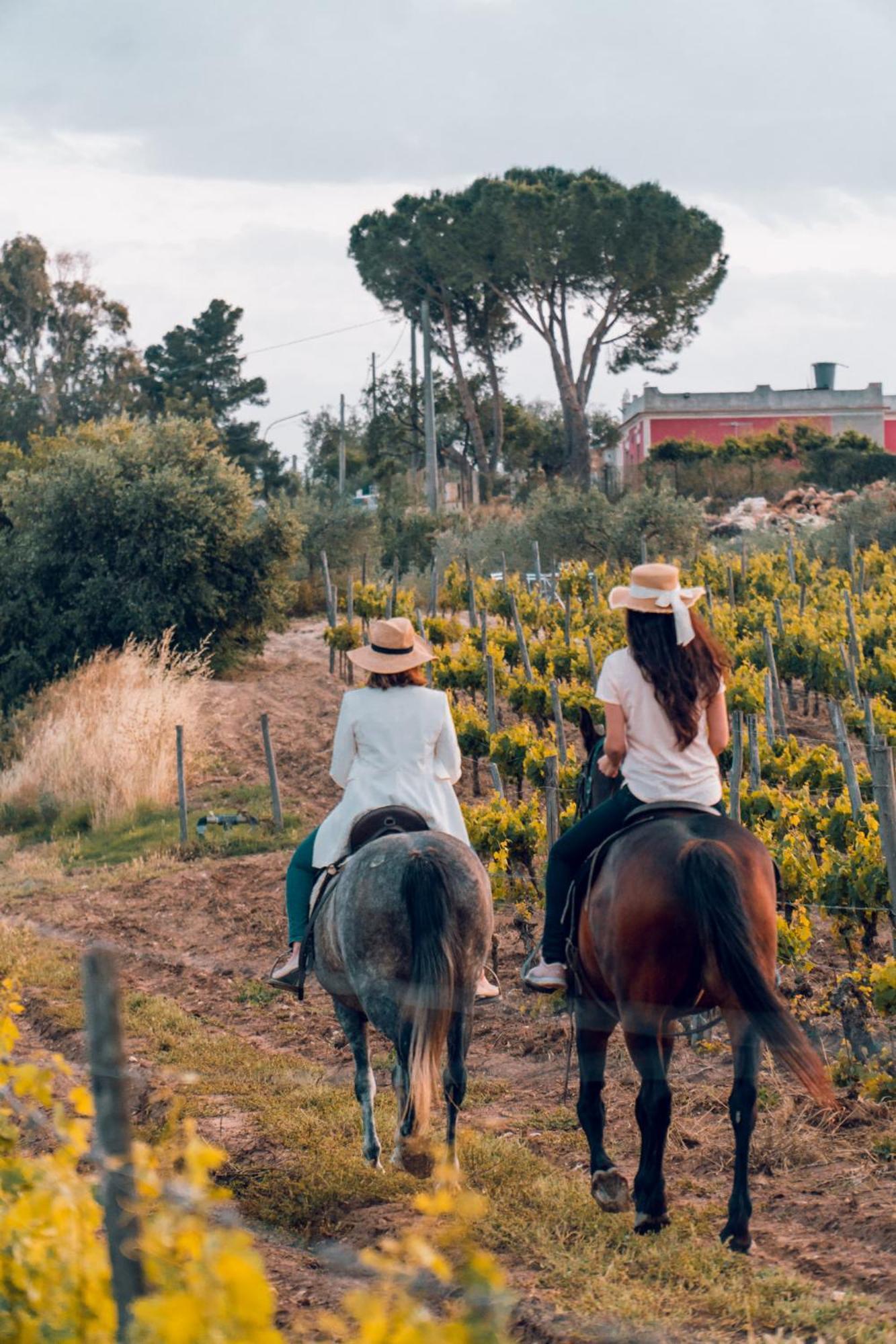 Baglio Occhipinti Farm stay