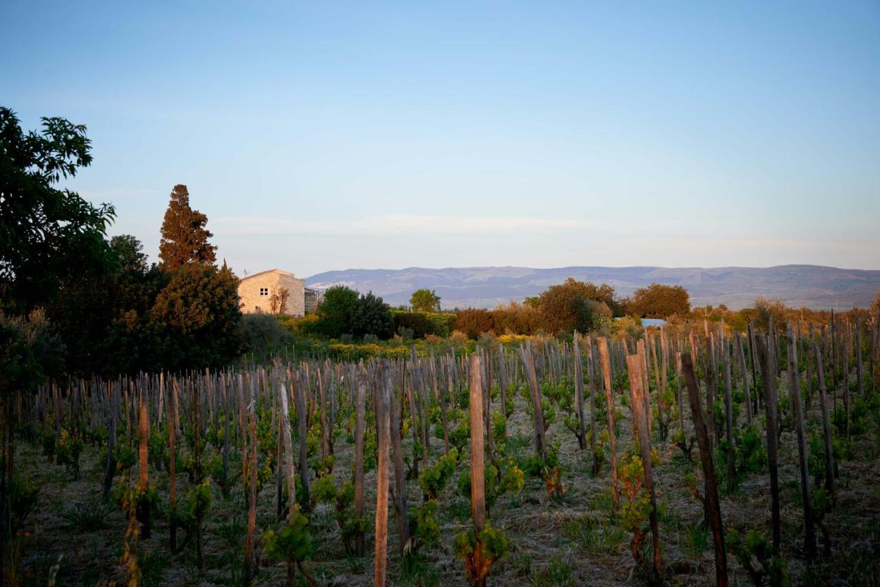 Baglio Occhipinti Farm stay Vittoria